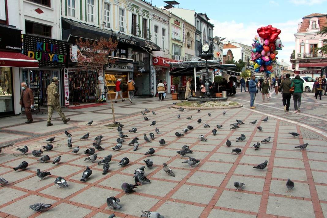 'Katil martı' paniği: Güvercinleri kurabiye gibi yiyorlar! 20